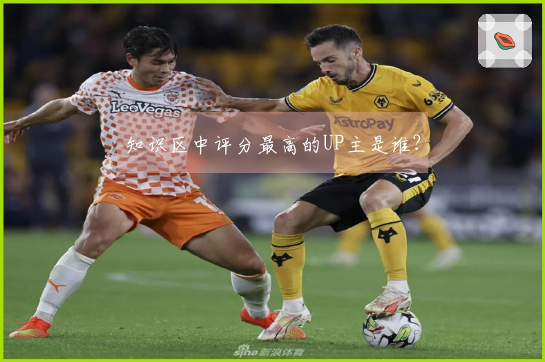 知识区中评分最高的UP主是谁？