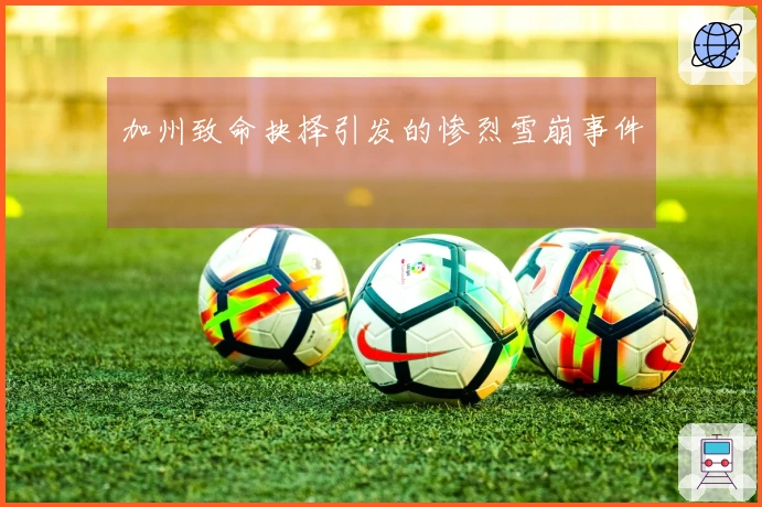 加州致命抉择引发的惨烈雪崩事件