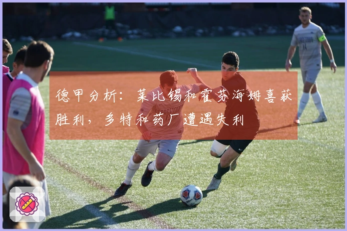 德甲分析：莱比锡和霍芬海姆喜获胜利，多特和药厂遭遇失利